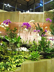 Cairns10 Changi Airport